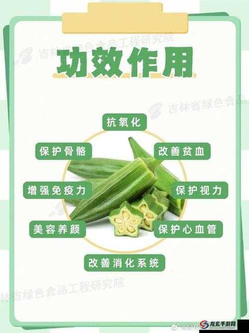 探索草莓樱桃丝瓜绿巨人秋葵番茄91的独特魅力：如何在家种植与享受这些美味蔬果