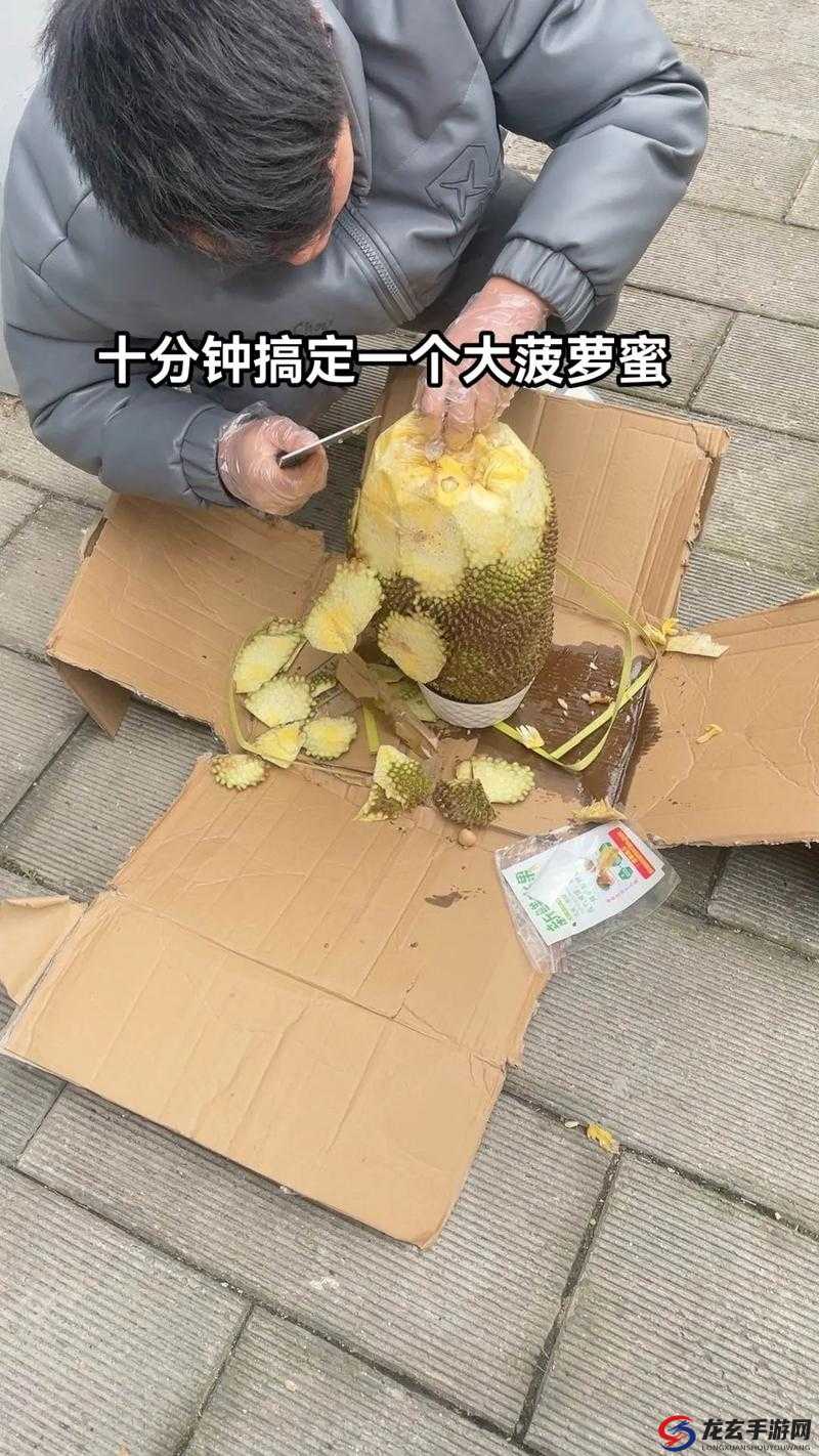 菠萝蜜怎么打开才正确？快来了解一下菠萝蜜的完美打开方法