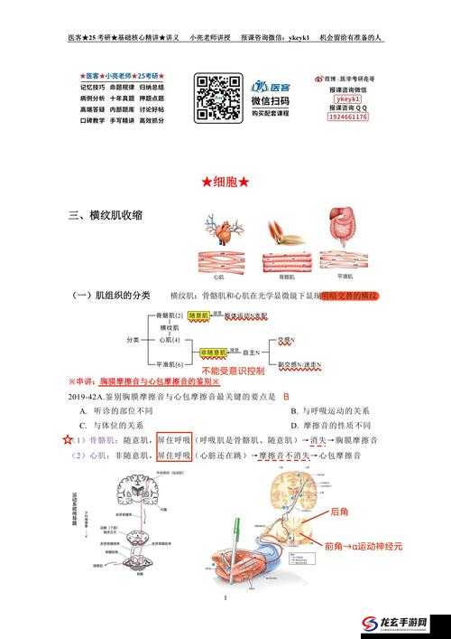 生理课老师示范相关，到底有哪些精彩内容？快来一探究竟