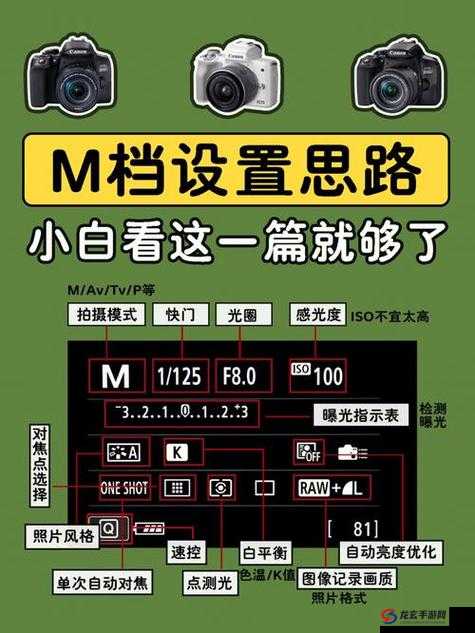 初学者必看：如何利用s命令轻松掌握m的基础操作技巧与实用指南